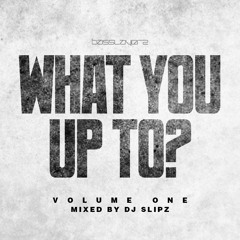 SLiPZ - WHAT YOU UP TO VOL1 (FREE DOWNLOAD)