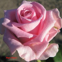 Trilha 14 - Saudação a Iemanjá