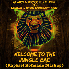 Welcome To The Jungle Bae (Raphael Hofmann Mashup)