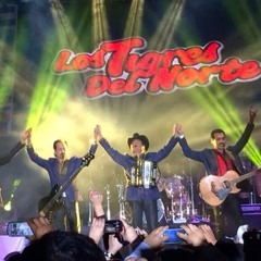 MIX TIGRES DEL NORTE VIEJITAS 2015 - DJ JAROCHO EL LIDER