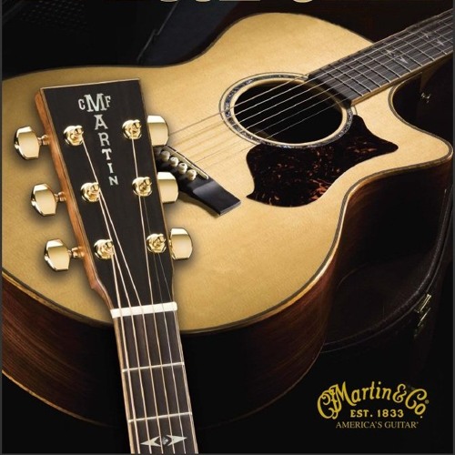 Chris martin 2024 acoustic guitar