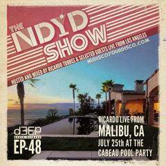 The NDYD Radio Show EP48 - Ricardo live from Malibu