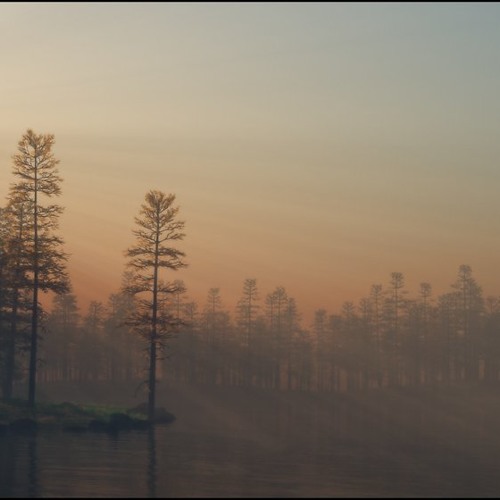 Gold Falls - Kiss My Neck (Starlit Everglades Remix)