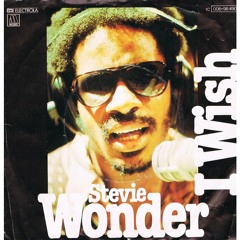 Stevie Wonder - I Wish ( Mikeandtess Boot Edit )