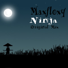 MaxFloxy - Ninja (Original Mix)