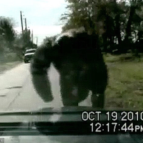 Teleporting to a Planet with Half Gravity