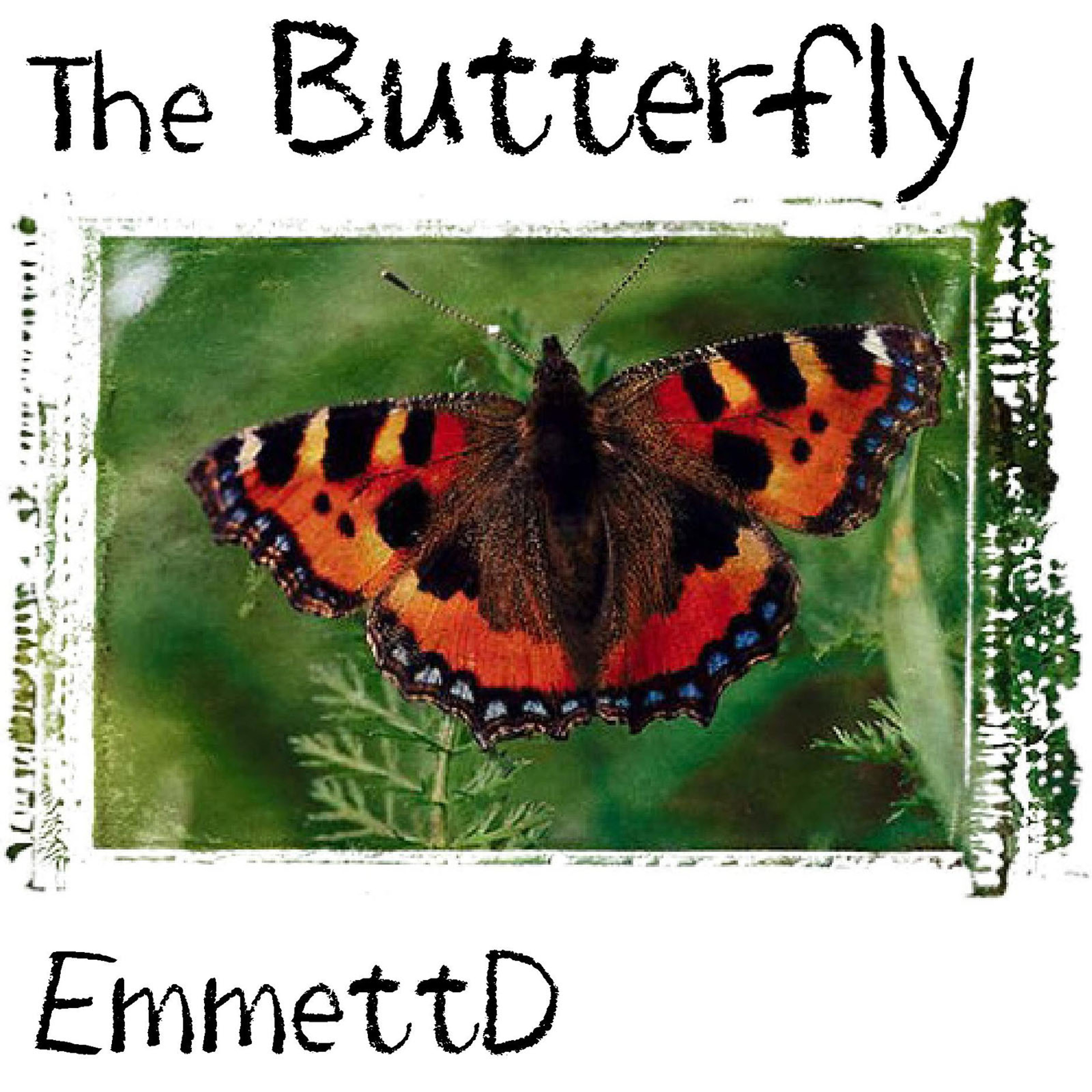 EmmettD
