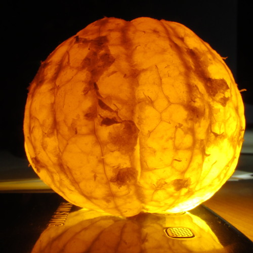 Major Lazer - Watch our for this [Bumayee] (RichiDj)