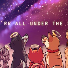 pom gets wi-fi we're all under the stars