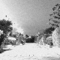 viagem no parque ao entardecer