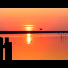 Project Caretaker - Hochkultur by V.Adrian Rmx