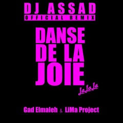 DJ ASSAD - GAD ELMALEH & LIMA PROJECT - Danse De La Joie (Extended) [Mastered]