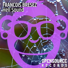 Francois Bresez - Hell Sound [Opensource Records]