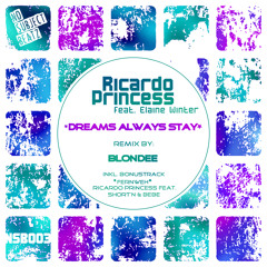 TEASER: Dreams Always Stay feat. Elaine Winter (Blondee Remix)
