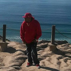 Gangsta Lee/where we come from...