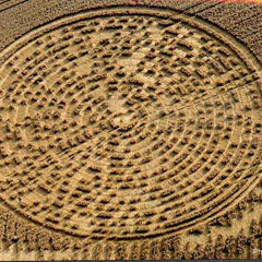 A Gen T 29 Sintoniza