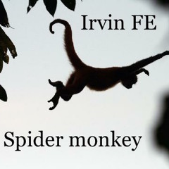 Irvin FE- Spyder Monkey (Original Mix)[Free Download]
