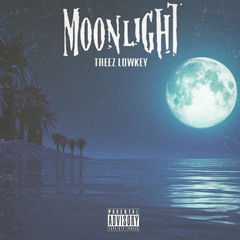 Moon Light (Produced.Treez Lowkey)