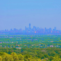 ARCADIAN CLUB • Next Time I See You