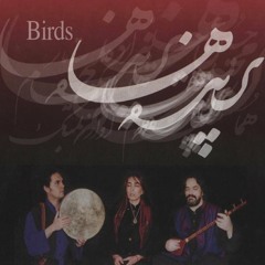 حسین علیزاده - پرنده‌ها - پروانه شو‫ / Hossein Alizadeh - The Birds - Parvaneh Sho