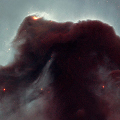 Dark Nebula