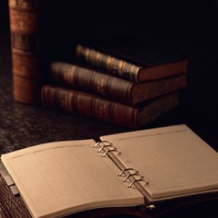 Translated Classes & Clips
