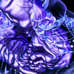 Flash Alert - L-Vis 1990 & Sinjin Hawke