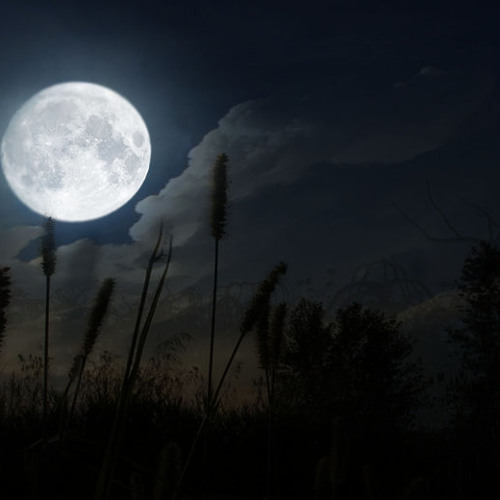 طمني عليك موسيقى تركية