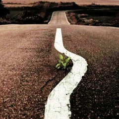 Cody Ft. Oscar Ft. This Blind - НП(Наши Пути) (prod. By Kareem)