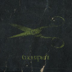 Сценарий - Asylum