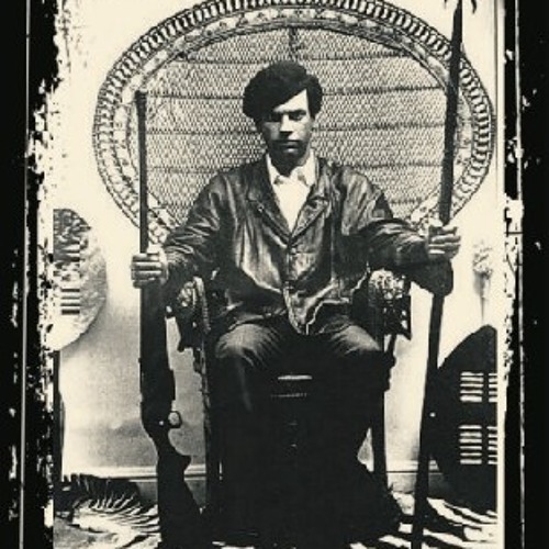 Panther Power (T Y H O O M I I N U A)