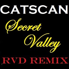 Catscan - Secret Valley (RVD-NL  Progressive Psy Remix)