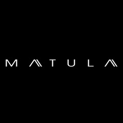 MATULA - The Driving  Bassline (original Mix Demo)