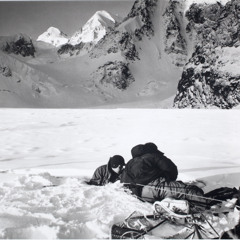 cold hands - tough guys fight