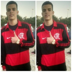 MONTAGEM == PRAZER SOU FAMOSO BICHO SOLTO [[ Dj FELIPE BRAGA ]] 2015