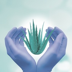 HOES ON MY CACK GOT ME LOOKIN LIKE A DAD