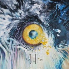 07 - The Other (Demian Acosta) - Dolphins Are Singing To Florencia