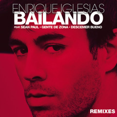 Bailando - Enrique Iglasias Feat. Sean Paul (Peter Gleisner Remix)