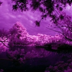 "Purple Trees" - Cloud Rap/Trillwave/Chill/ Yung Lean Type Beat