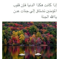 تلاوة بديعة لماتيسر من سورة الروم , برواية السوسي عن ابي عمرو _ الشيخ أنس العماد.mp3