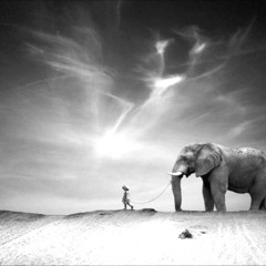 Walking Whit Elephant