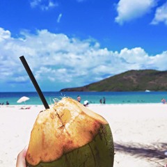 TZ Tropical House Vol. 1