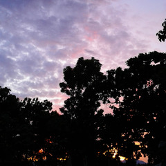 stargazing