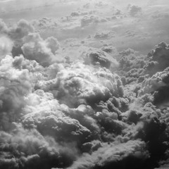 Night Vision Binoculars (one take Passenger cover)