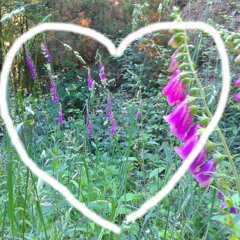 Emilio José  -  ♥