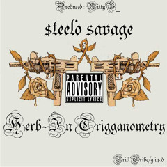 $TEELO $AVAGE-HERB-IN TRIGGANOMETRY (PROD.NITTYB_)