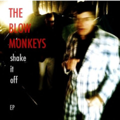 The Blow Monkeys Shake It Off Bump Mix
