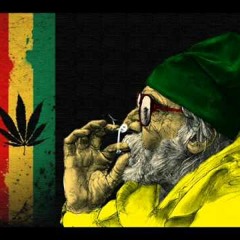 You Don't need DubZ to RocK - Vol 3 JuNgLe MiX