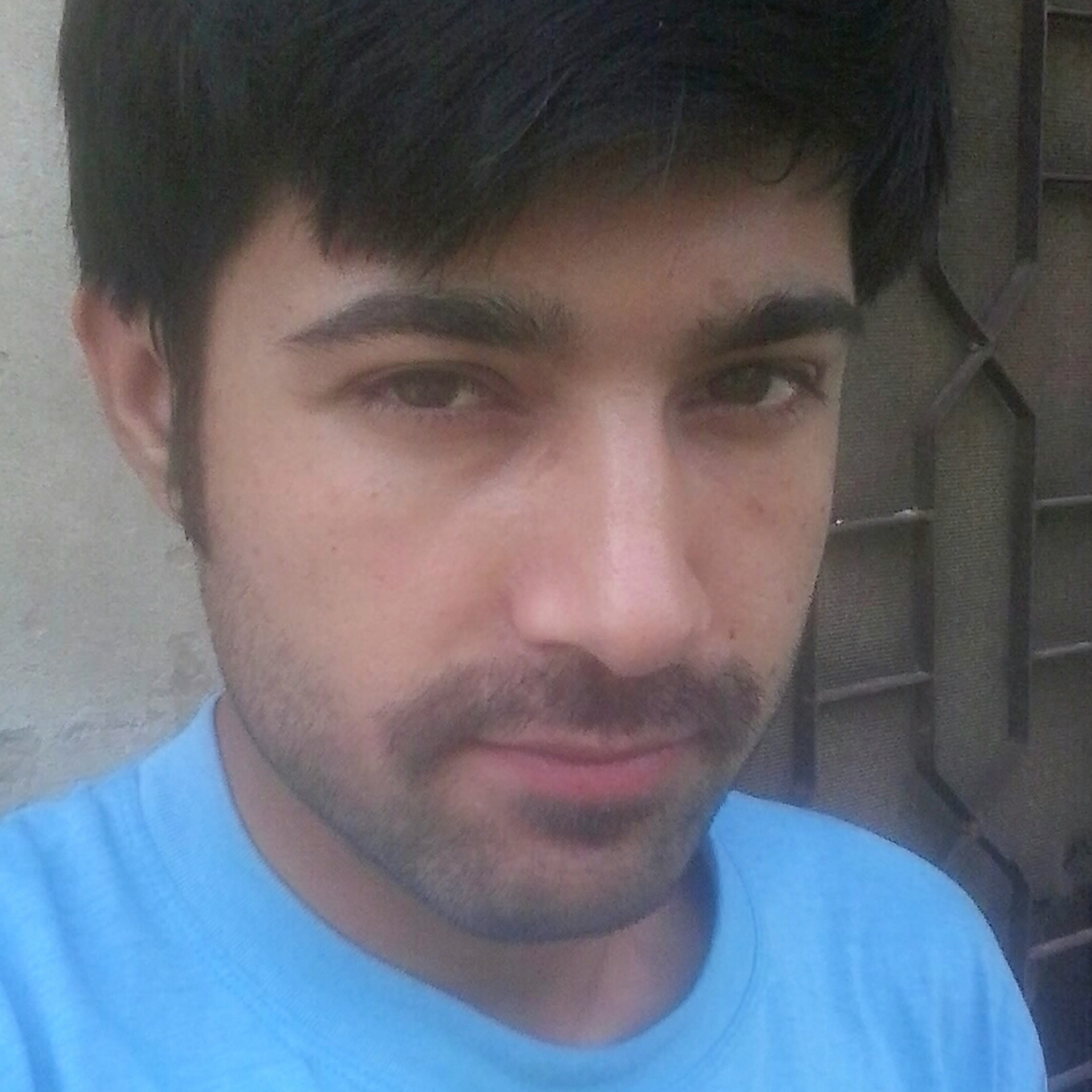 Sheharyarteetu