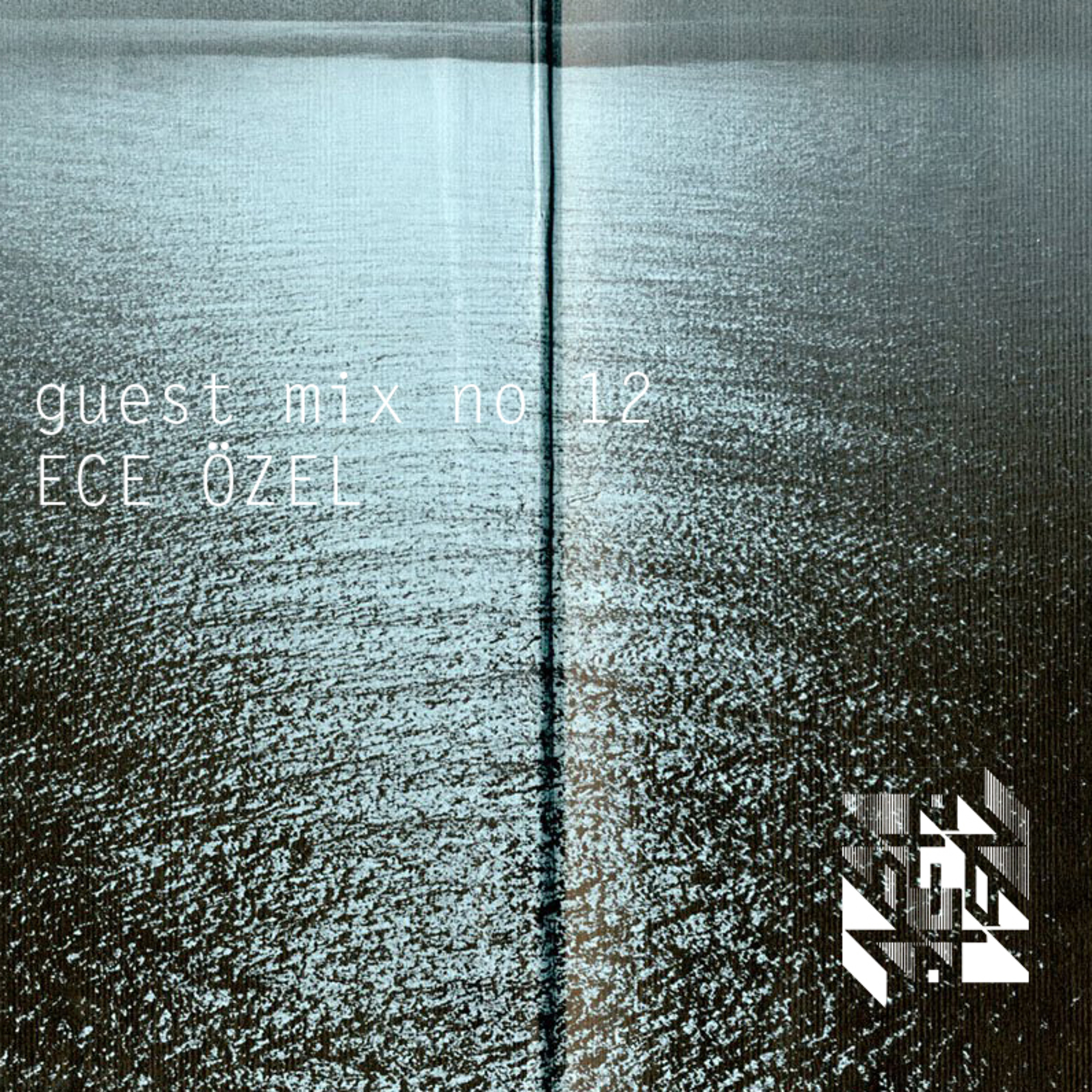 zttrzt guest.12 by Ece Özel episode artwork